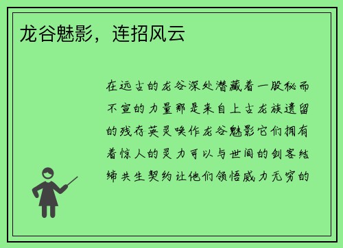 龙谷魅影，连招风云